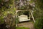 Swing Seat Under Clematis Harmony Range