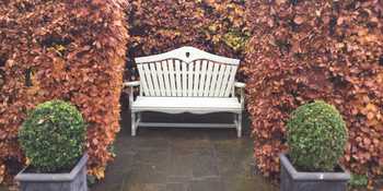 Sitting Spiritually Garden Bench
