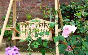 Heart Back Style Swing Seat at Deer Park Hotel