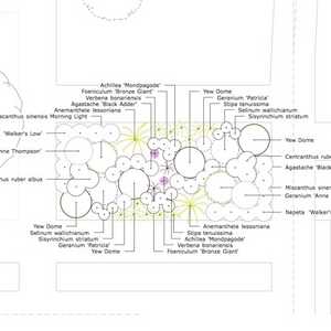 Planting Plan, click on image to enlarge