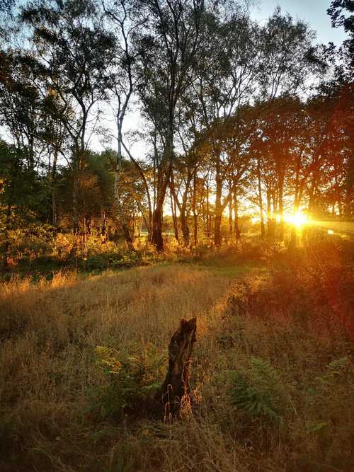 sun set at RHS Bridgewater