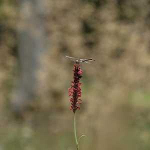 Nature doing its lovely thing ...