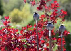 Gin & Tonic Gardening by Katherine Crouch