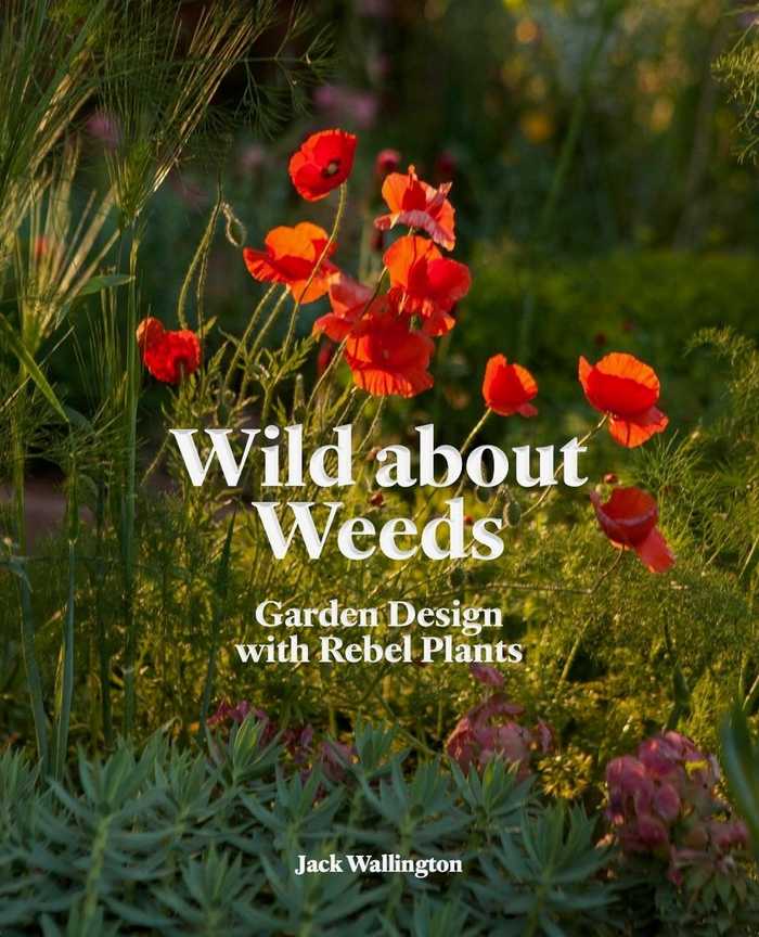 The front cover of Wild about Weeds