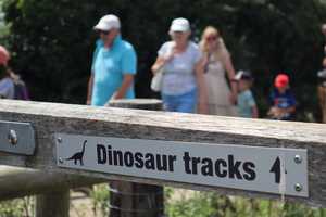 Dinosaur Footprints Walks at Keates Quarry in Purbeck