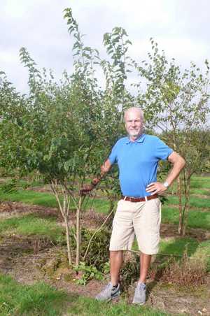 Martin chooses the Acer Ginnala