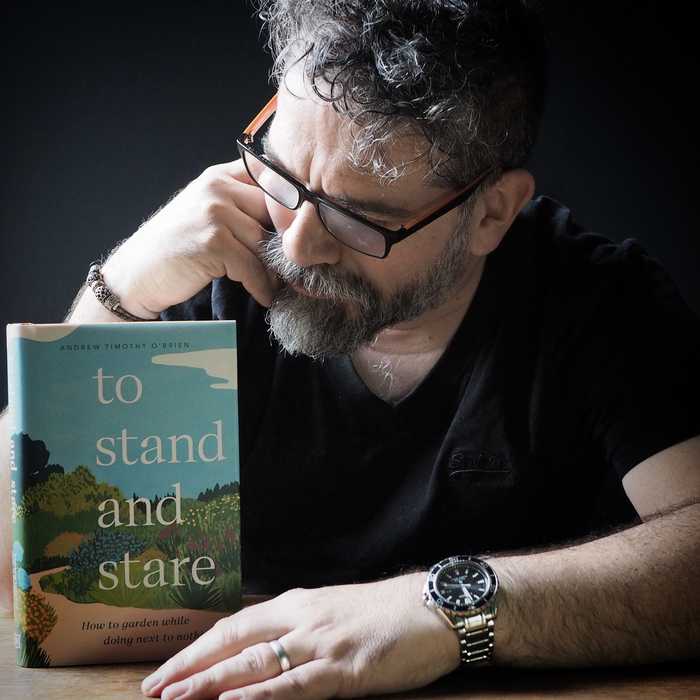 To Stand and Stare book