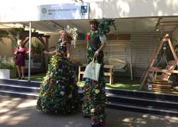 RHS Chelsea Flower Show Blog