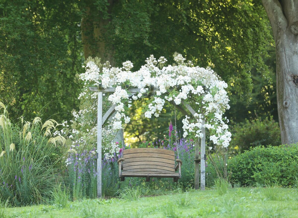 Pergola & Rose small size.jpg