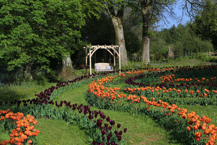 Single Oak Rope Swing with engraving