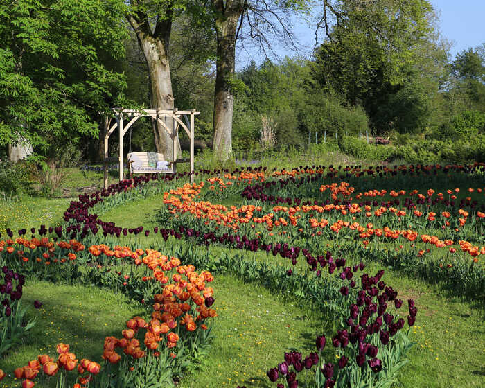 pergola with arbour swing seat in tulip garden pergola with arbour swing seat in tulip garden