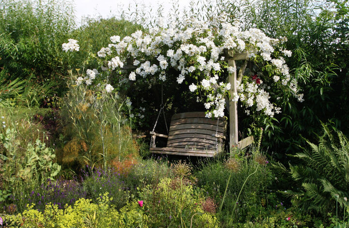 pergola under white roses.jpg