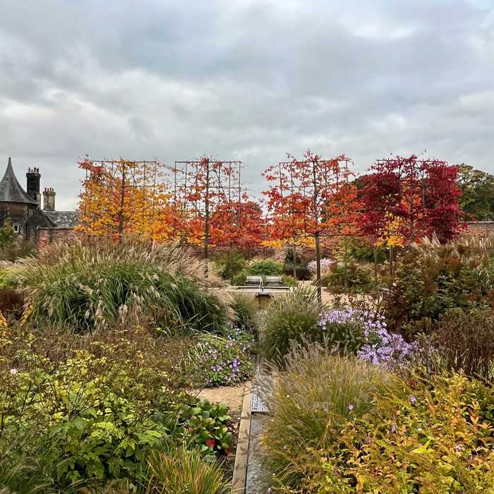 plant life at RHS Bridgewater