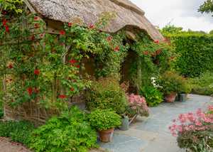 RHS Rosemoor