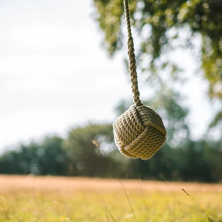Ball Rope Swing hanging from a tree in a field