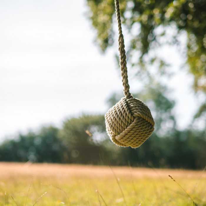 Ball Rope Swing hanging from a tree in a field