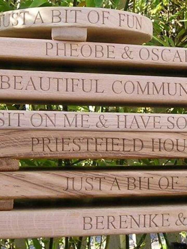 Rope Swing Stack 3.jpg