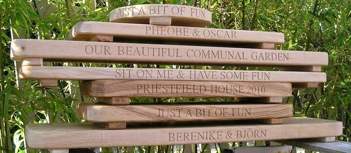 Rope Swing Stack 3.jpg