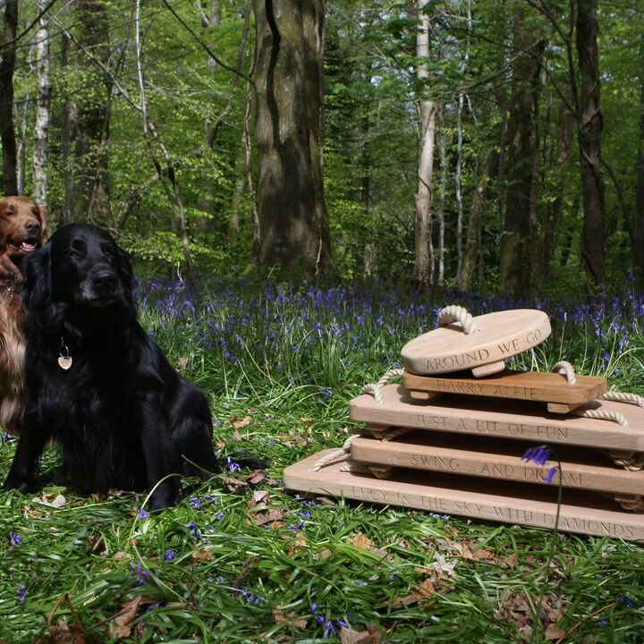 bluebell stack with dogs.jpg