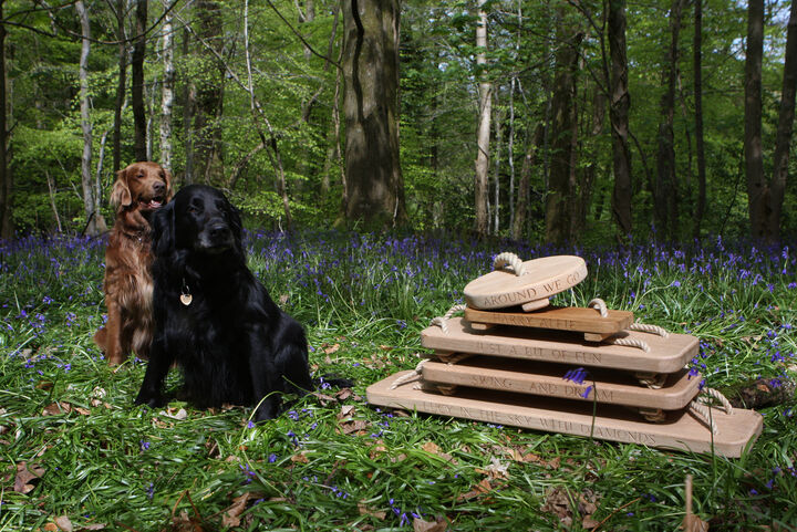 bluebell stack with dogs.jpg