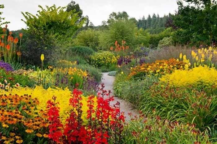 RHS Rosemoor
