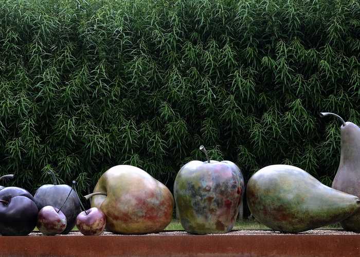 A frivolous 'Fruit Platter' against a backdrop of bamboo.