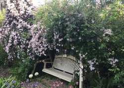 Shade Solutions for Garden Furniture
