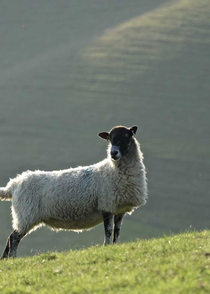 Waiting for the tup....