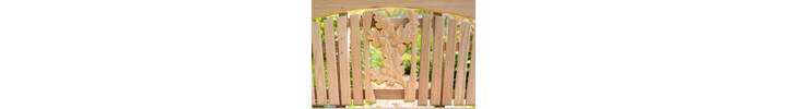Sitting Spiritually Autumn Carving close up landscape (1).jpg