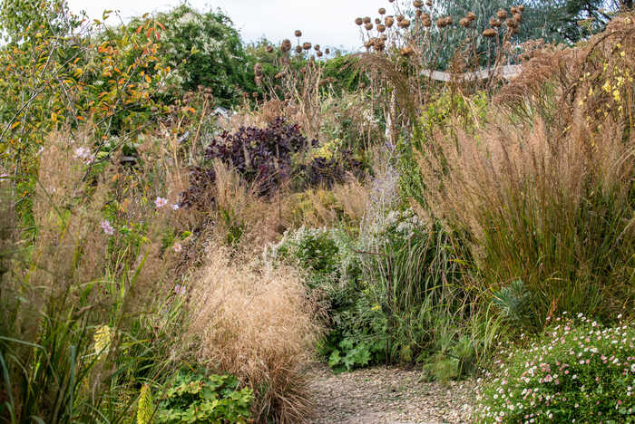 A beautiful garden with the tip of a swing seat in the background