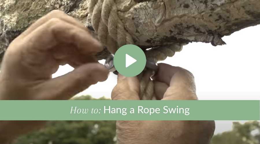 Oak Rope Swing stack