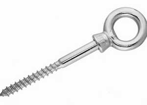 Stainless Steel Eyebolts