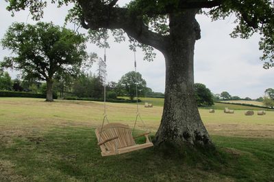 IMG_0830.jpg