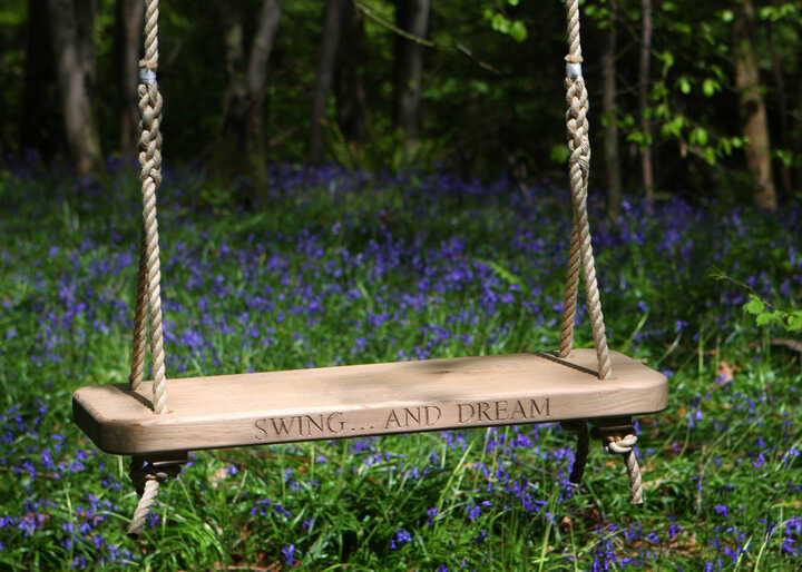 SwingDream-Bluebells (1).jpg