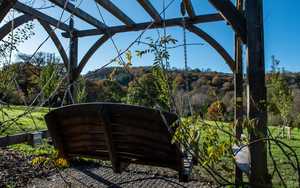 Curve Back Swing Seat and Pergola at RHS Rosemoor Gardens