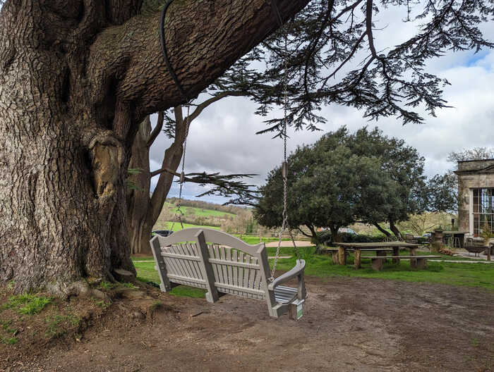 A tree hung swing seat at The Pig Hotel 