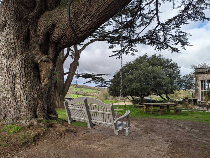A tree hung swing seat at The Pig Hotel