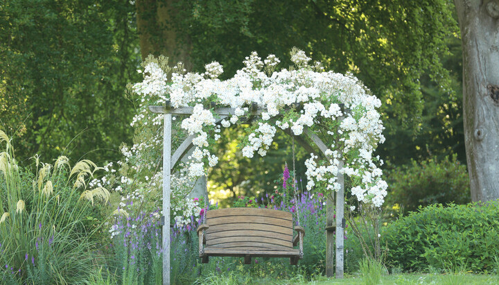 Our Pergolas &amp; What Makes Them Exceptional