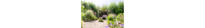 Best pergola shot in SS Garden June 2022.jpg