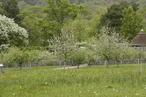 The view towards the orchard & fruit & veg garden