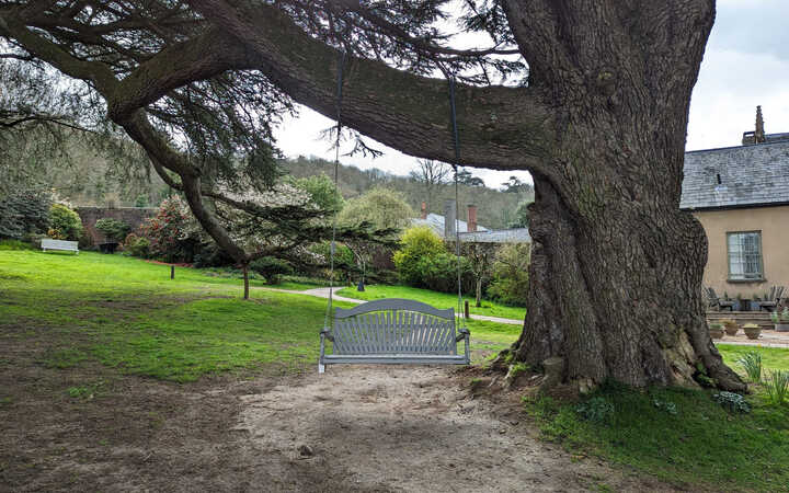 Our Painted Pine Swing Seat at The Pig at Combe