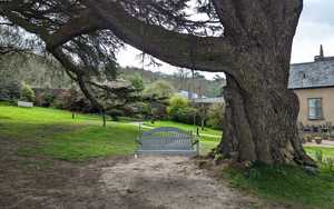 Our Painted Pine Swing Seat at The Pig at Combe