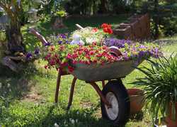 10 everyday items you can upcycle and use as a planter 10 everyday items you can upcycle and use as a planter