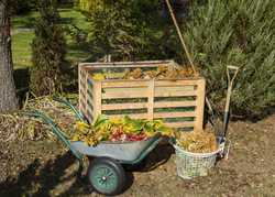 Celebrating Compost Week by Woody Morley