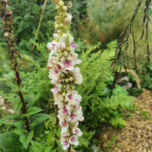 20200806_101000.jpg