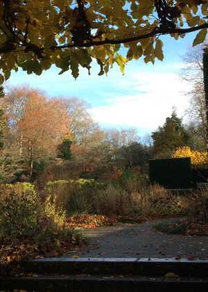 Winter Interest at Castle Drogo