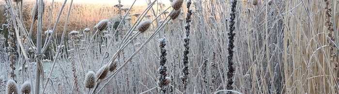 Winter Wildlife Shelter