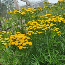 20200806_101020.jpg