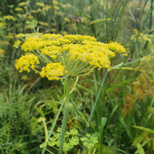 20200806_100439.jpg