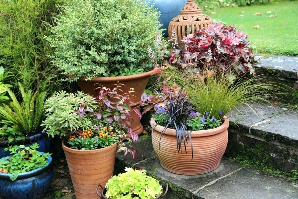 Pots & Planters for Autumn Sitting Spiritually